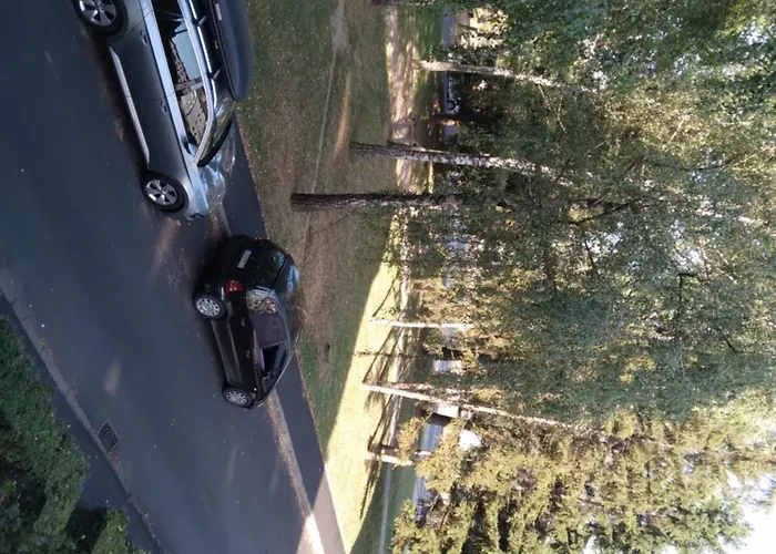 Markovic Apartamento